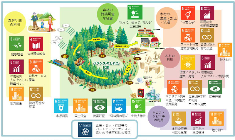 森林の循環がSDGs・カーボンユートラルにつながる