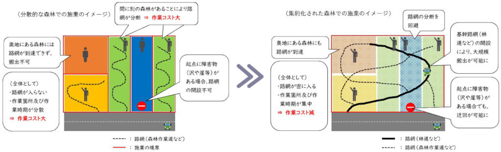 森林の集約化