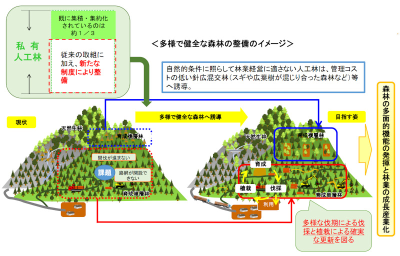 健全な森林の運営