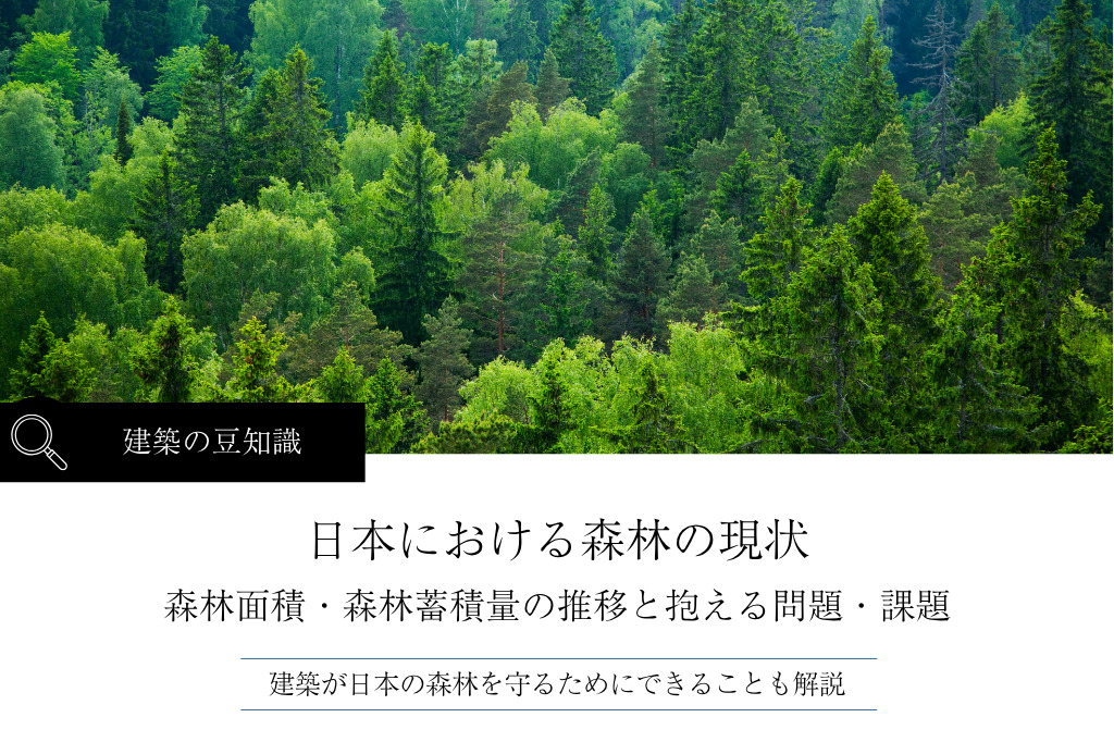 日本における森林の現状｜面積・蓄積量の推移と抱える問題・課題