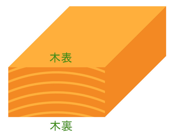 木表と木裏