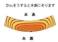 木の反り方