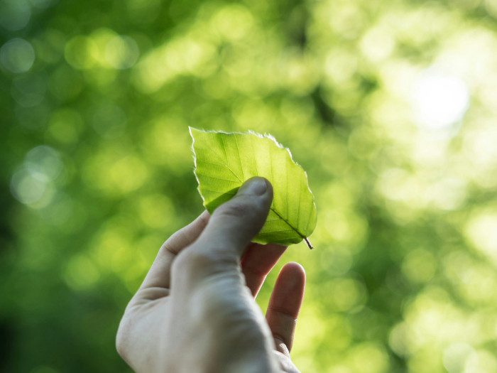 グリーンウォッシュに関する「よくあるQ&A」