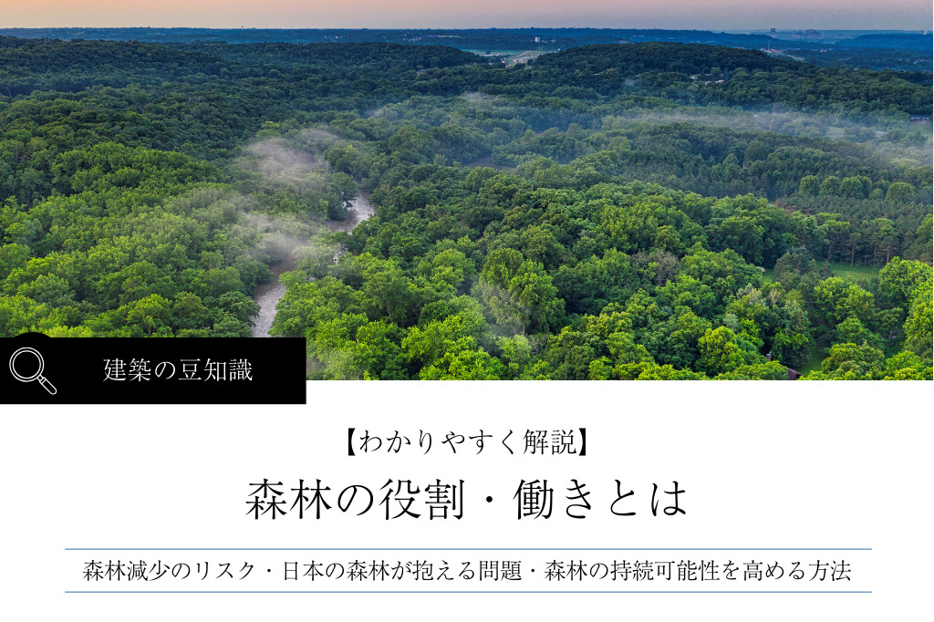 【わかりやすく解説】森林の役割・働きとは｜放置林・森林の高齢化との関連性も