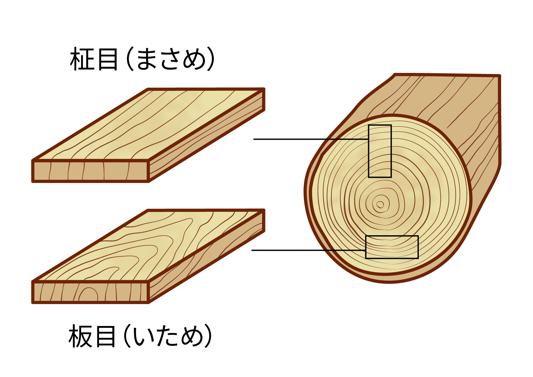 板目・柾目だけじゃない！“木目の色”にはどんな種類がある？トレンドは？ | 恩加島木材工業株式会社