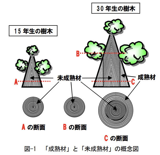 未熟材と成熟材