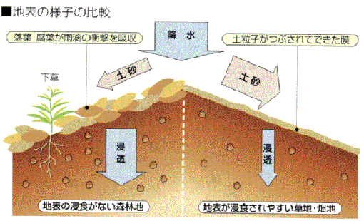 森林の土砂災害防止効果